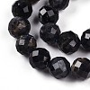 Natural Cordierite/Iolite/Dichroite  Beads Strands G-S345-10mm-27-4