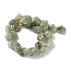 Natural Labradorite Beads Strands G-H023-B19-01-3