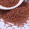 MIYUKI Delica Beads X-SEED-J020-DB2178-1