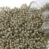 TOHO Round Seed Beads SEED-JPTR11-0369FM-1