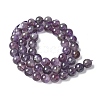 Natural Amethyst Beads Strands G-M445-8MM-01B-4