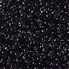 Transparent Colours Glass Seed Beads X1-SEED-P006-02A-12-3