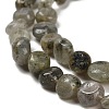 Natural Labradorite Beads Strands G-P497-01E-47-4