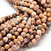 Natural Venus Jasper Beads Strands G-P075-57-4mm-1