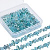 SUNNYCLUE 2 Strands Natural Apatite Chip Beads Strands G-SC0002-52-1