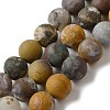 Natural Ocean Agate/Ocean Jasper Beads Strands G-G772-06-B-3