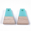 Resin & Wood Pendants LS-RESI-S358-52B-2