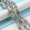 Natural Labradorite Beads Strands G-C039-A01-2