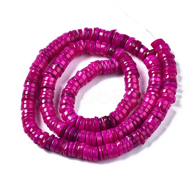 Natural Freshwater Shell Beads Strands SHEL-Q024-001F-1