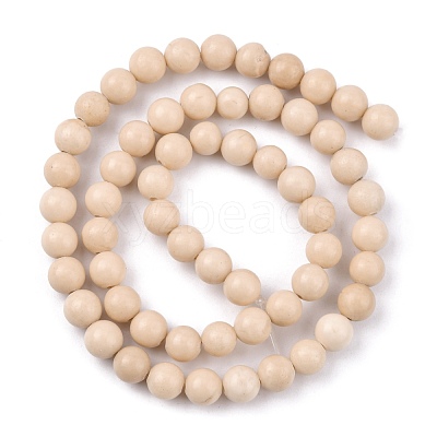 Natural Fossil Beads Strands G-E110-6mm-2-1