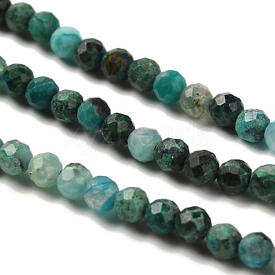 Natural Chrysocolla Beads Strands G-K373-B06-03-1