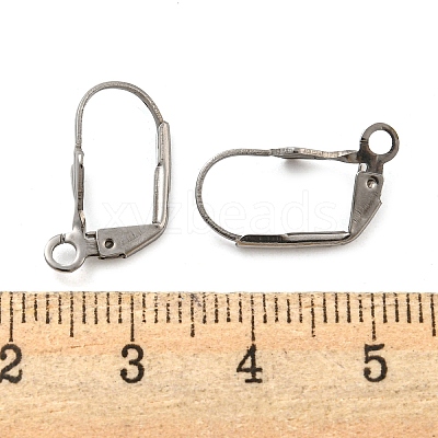 Non-Tarnish 304 Stainless Steel Leverback Earring Findings STAS-P360-02A-P-1