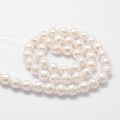 Shell Pearl Bead Strands BSHE-L029-01-6mm-1