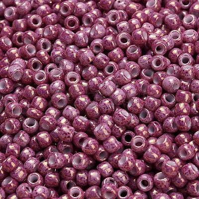 TOHO 6/0 Round Beads X-SEED-TR06-1202-1