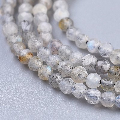 Natural Labradorite Beads Strands X-G-R475-025A-1
