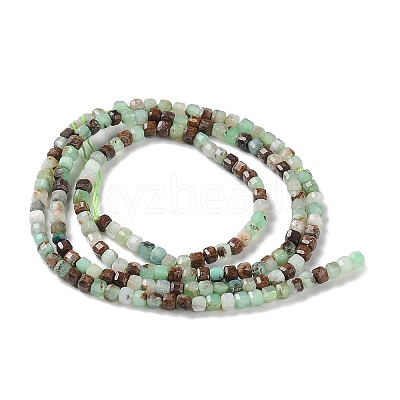 Natural Chrysoprase Beads Strands G-P514-B03-01-1