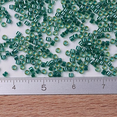 MIYUKI Delica Beads SEED-J020-DB0919-1