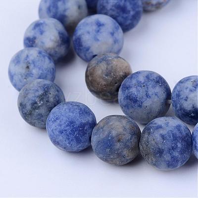 Natural Blue Spot Jasper Beads Strands G-Q462-6mm-06-1