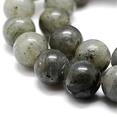 Natural Labradorite Bead Strands G-P256-01-10mm-1