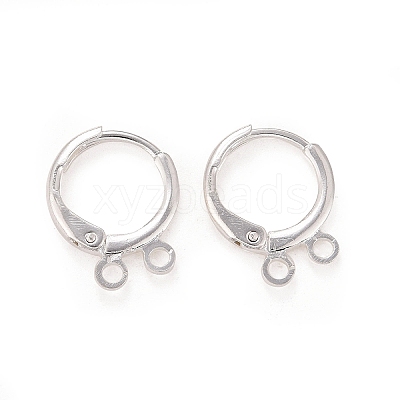 2-hole Rack Plating Brass Leverback Earring Findings LS-KK-D075-05S-RS-1