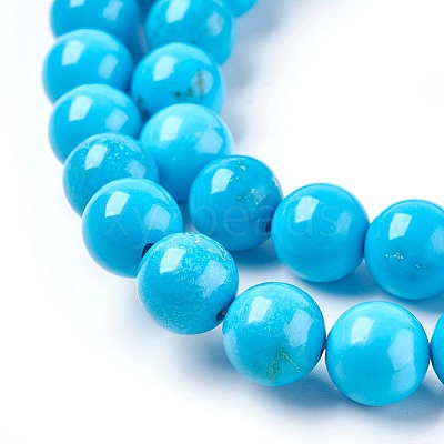Natural Magnesite Beads Strands TURQ-P027-28A-8mm-1