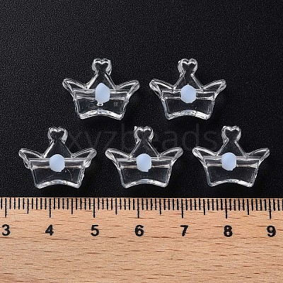 Transparent Acrylic Beads LS-MACR-S373-105-B08-1