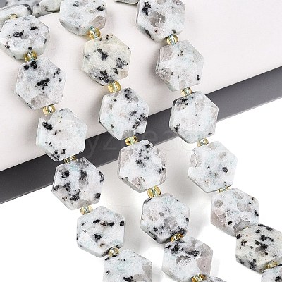 Natural Sesame Jasper Beads Strands G-N368-01A-19-1