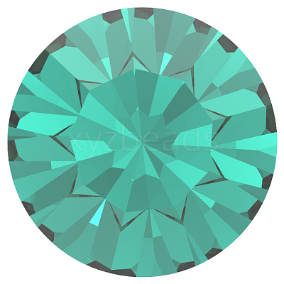 Preciosa® MAXIMA Crystal Round Stones X-PRC-RBSS24-60230-1