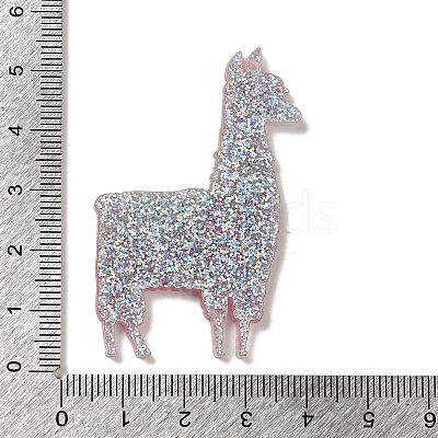 Acrylic Pendants OACR-R270-01B-1