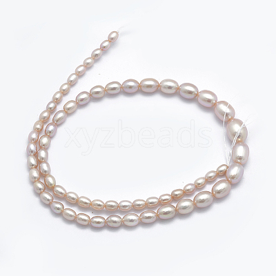 Natural Cultured Freshwater PearlBeads Strands PEAR-K003-21B-1
