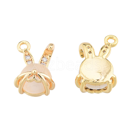 Brass Micro Pave Clear Cubic Zirconia Charms KK-N231-389-1