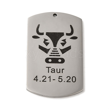 Non-Tarnish 304 Stainless Steel Pendants LS-STAS-C098-01D-P-1