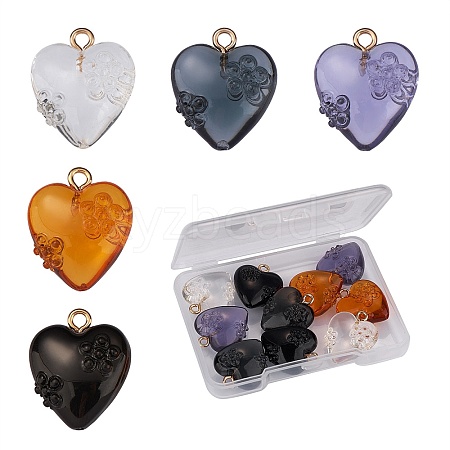 10Pcs 5 Colors Transparent & Opaque Resin Pendants RESI-SZ0001-65-1