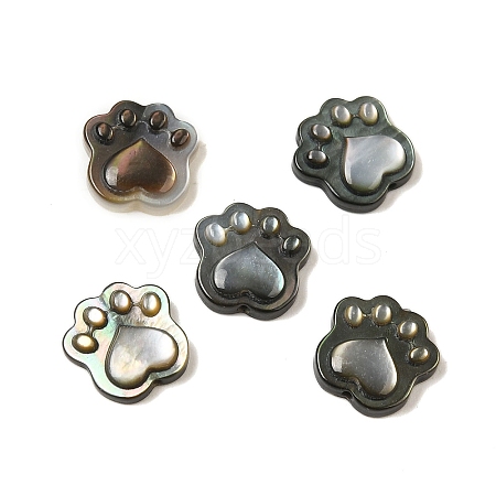 Natural Black Lip Shell Cat Paw Print Beads SHEL-M021-04-1