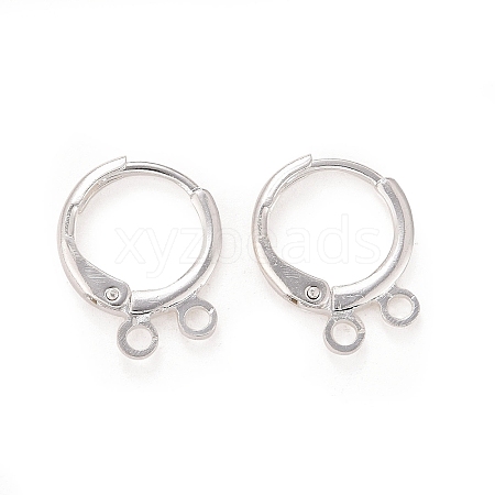 2-hole Rack Plating Brass Leverback Earring Findings LS-KK-D075-05S-RS-1