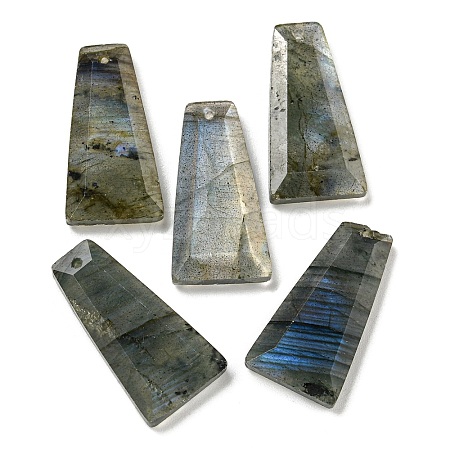 Natural Labradorite Pendants G-G123-02D-1