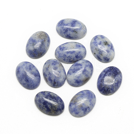 Natural Blue Spot Jasper Cabochons G-R415-18x25-45-1