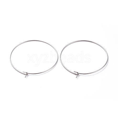 316 Surgical Stainless Steel Hoop Earring Findings STAS-J025-01E-P-1