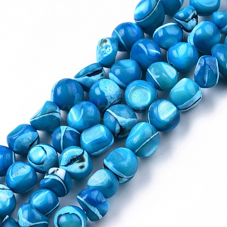 Natural Trochid Shell/Trochus Shell Beads Strands SSHEL-N032-48-A03-1