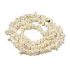 Natural Trochus Shell Beads Strands SSHEL-H072-04-2