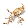 Alloy Crystal Rhinestone Brooch JEWB-R025-04E-2