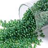 TOHO Round Seed Beads X-SEED-TR11-0947-1