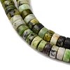 Natural Serpentine Beads Strands G-L624-I16-3x6mm-4