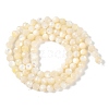 Natural White Shell Beads Strands SSHEL-E571-38A-4mm-3