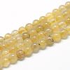 Natural Gold Rutilated Quartz Beads Strands G-R446-6mm-12-1