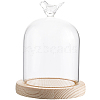 SUNNYCLUE 1Pc Glass Dome Cover AJEW-SC0002-61A-6