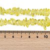 Transparent Glass Beads Strands GLAA-Z009-01C-4