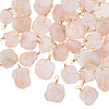 HOBBIESAY 40Pcs Natural Rose Quartz Pendants G-HY0001-43-1