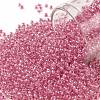 TOHO Round Seed Beads SEED-JPTR11-0987-1