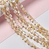 Natural Trochid Shell/Trochus Shell Beads Strands SHEL-F003-08B-2